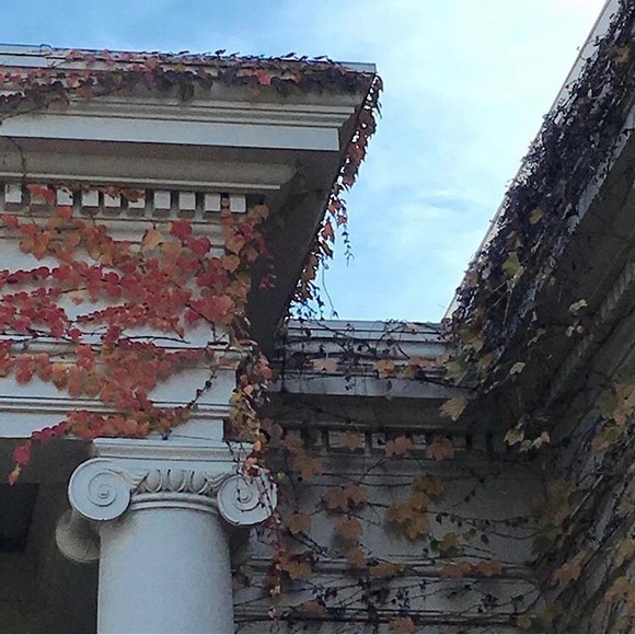 🚫🚬🐶🐱 Fast Mailing!! 5⭐️ rating!! ❤️offers!! - Picture 3 of 14